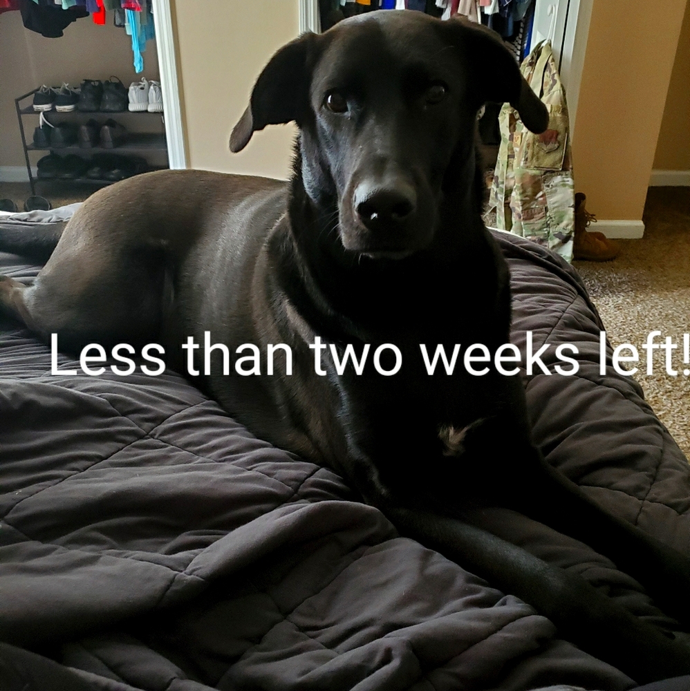 One week left!!